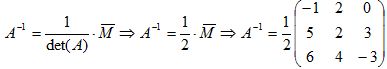 matriz transposta12