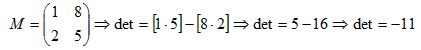 matriz transposta8