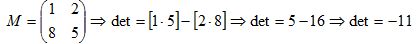 matriz transposta9