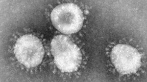 mers