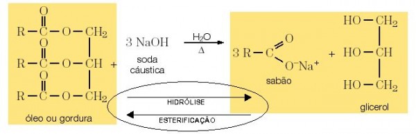 quimica lipidios4