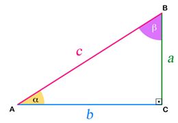 Trigonometria no triângulo retângulo em Matemática