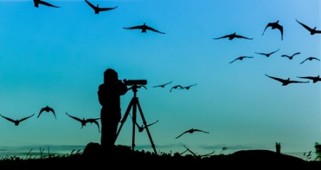 Birdwatching. Foto: Erkki Alvenmod / Shutterstock.com