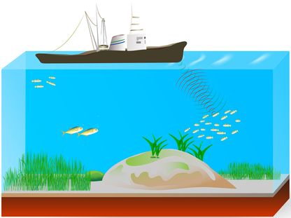 Sonar. Sonar: dispositivo aquático - Brasil Escola