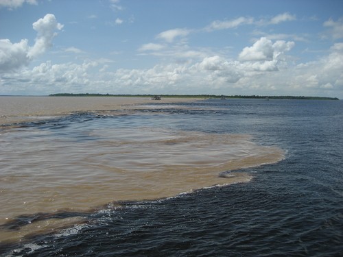 Encontro das águas do Rio Negro (à dir.), menos turvo, com as do Rio Solimões, que possui muitas partículas em suspensão. Foto: guentermanaus / Shutterstock.com