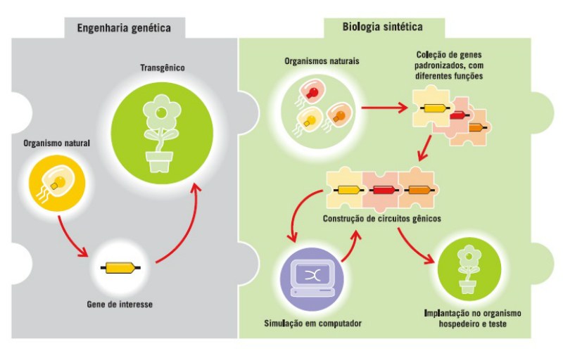 Fig 1: Ilustração do processo da engenharia genética e adaptação para Biologia Sintética, Fonte: (REVISTA CH, 2014)