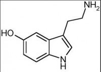 acidez-compostos-organicos1