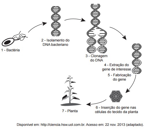 EXERCICIOS GENETICA PET 2 - Biologia Celular