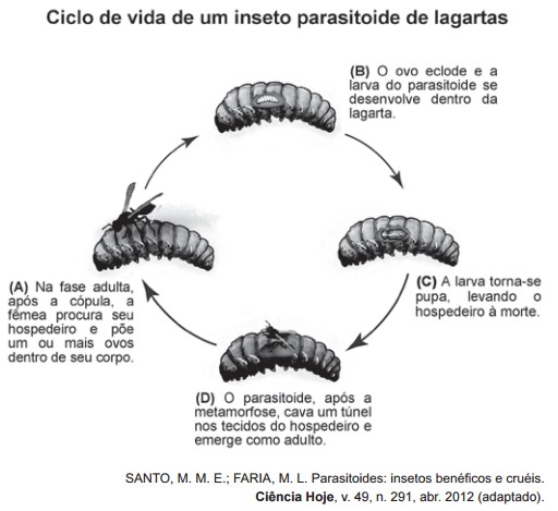 questaoenem81