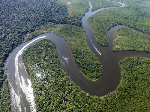 Floresta Amazônica. Foto: Filipe Frazao / Shutterstock.com