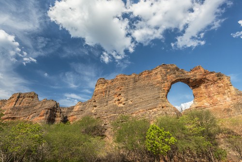 Serra da Capivara, parque nacional localizado nas áreas de Caatinga. Foto: ANDRE DIB / Shutterstock.com