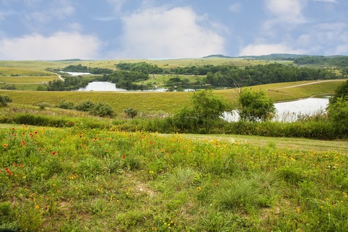 Campos temperados. Foto: Ami Parikh / Shutterstock.com