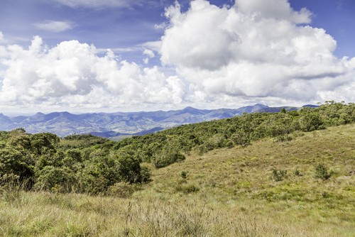 Paisagem de cerrado. Foto: Filipe Frazao / Shutterstock.com