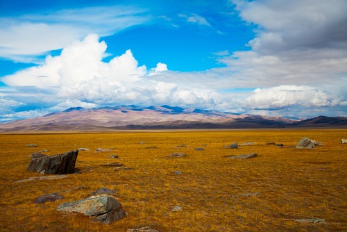 Estepes. Foto: TasiPas / Shutterstock.com