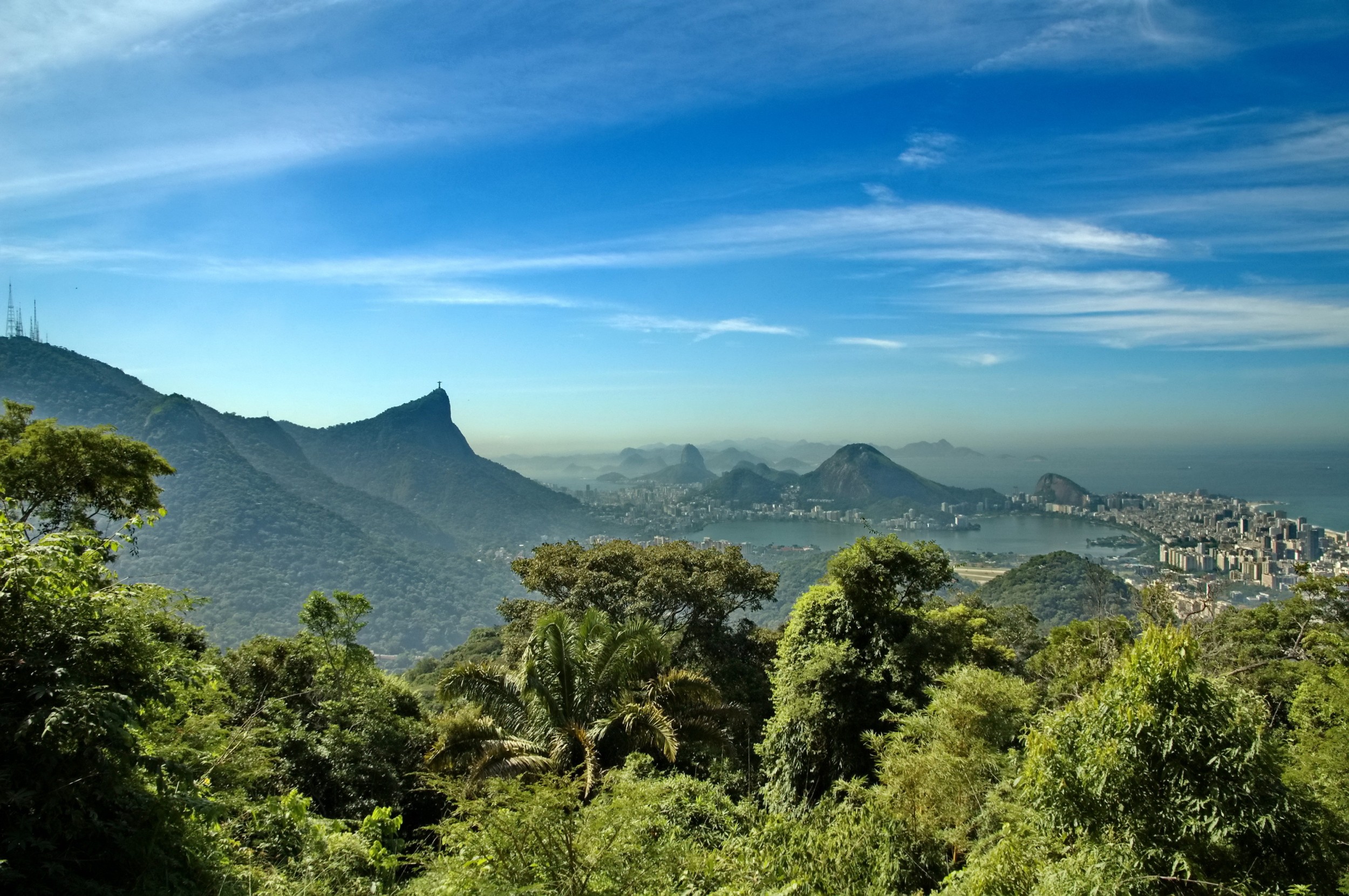 Resultado de imagem para MATA ATLÃ‚NTICA