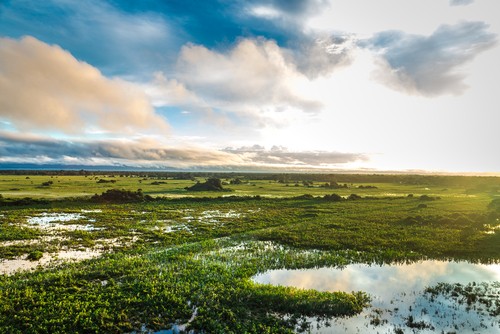 Pantanal. Foto: Filipe Frazao / Shutterstock.com