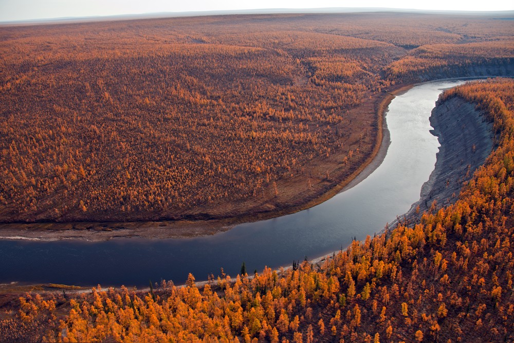 Região de Taiga na Sibéria (Rússia). Foto: Okyela / Shutterstock.com