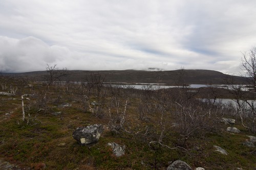 Paisagem de uma região de tundra. Foto: Vkhom68 / Shutterstock.com