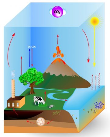 Ciclo do carbono. Ilustração: Designua / Shutterstock.com