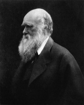 Charles Darwin em 1868. Foto: Julia Margaret Cameron / via Wikimedia Commons / domínio público