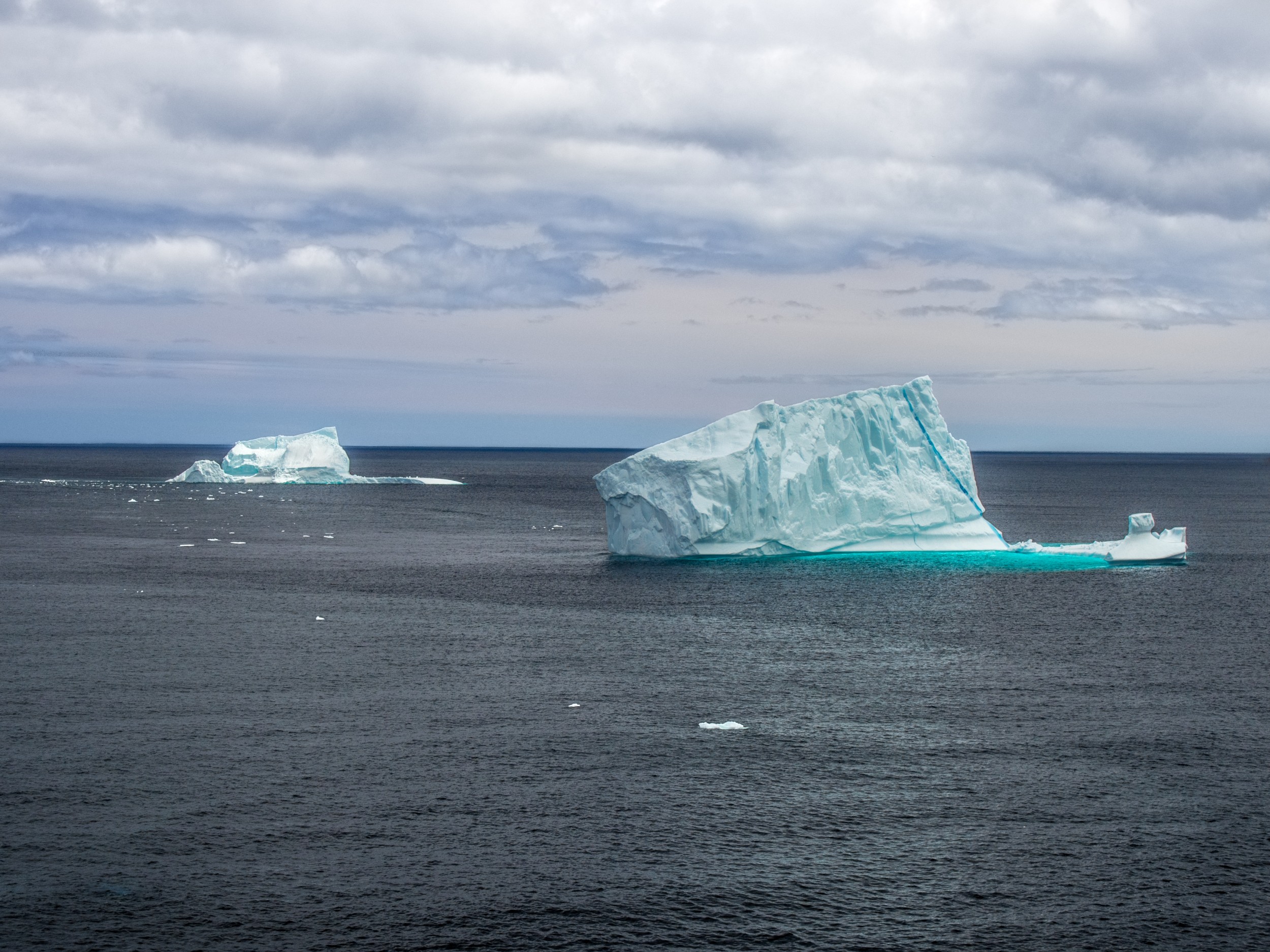 Atualizei Meu Iceberg dos Animes : r/IceBergBrasil