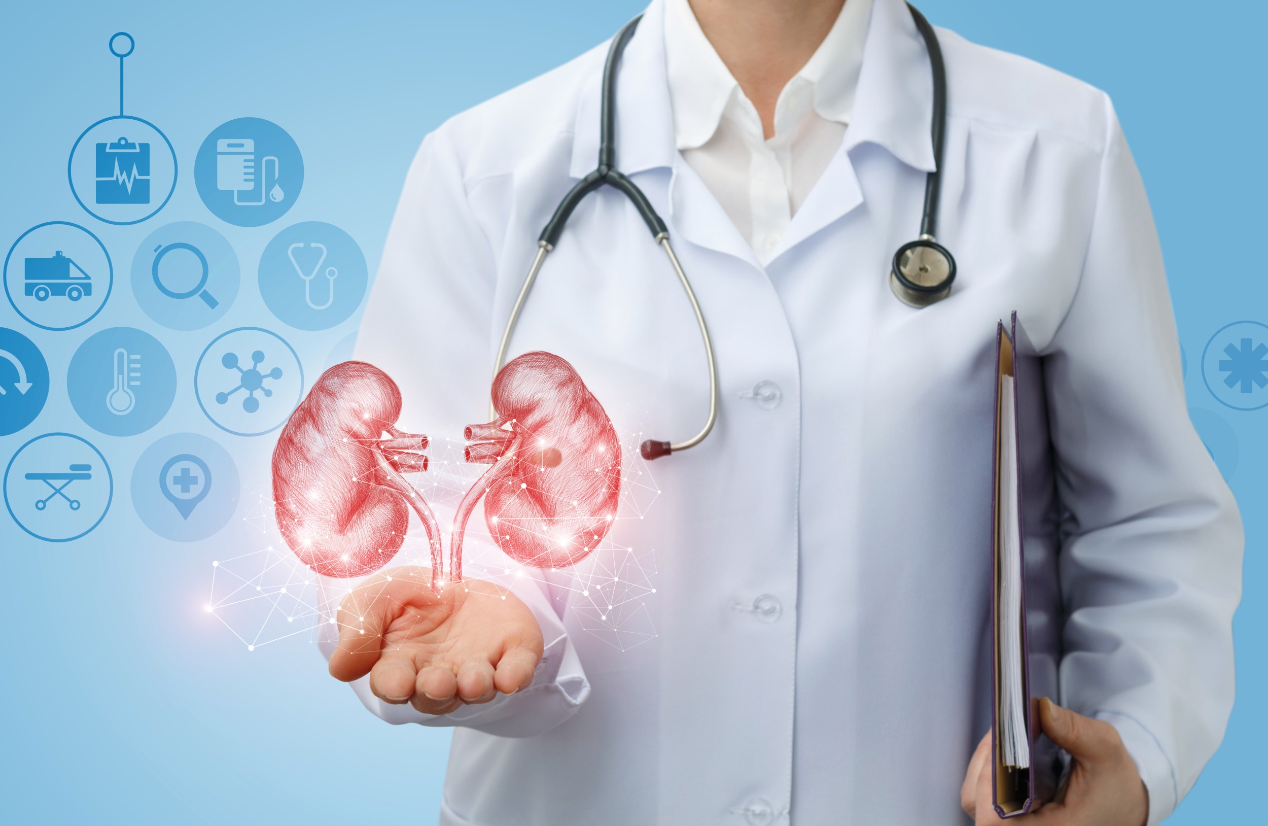 M\u00e9dico urologista - Profiss\u00f5es - InfoEscola