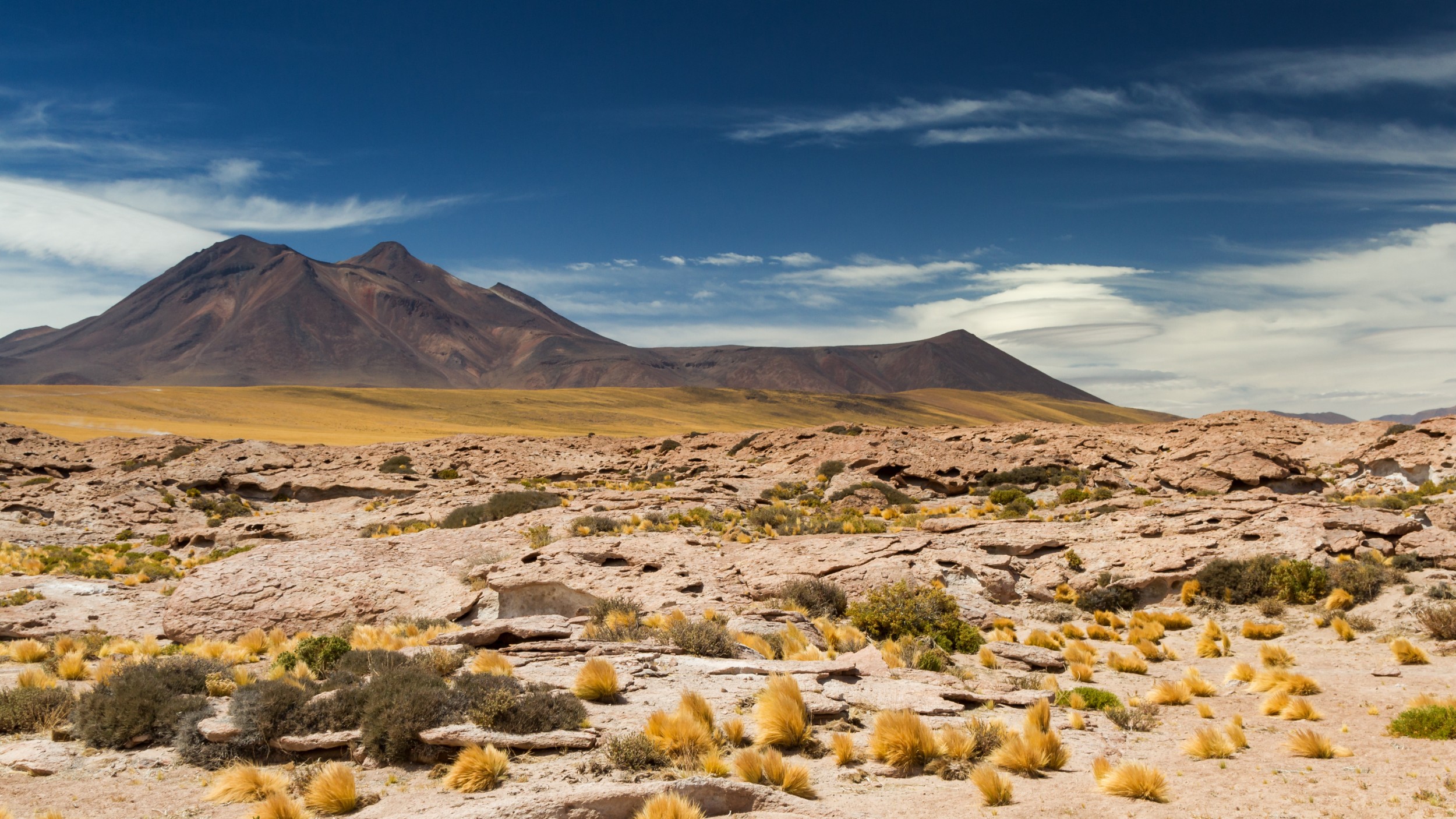 Resultado de imagem para deserto do atacama