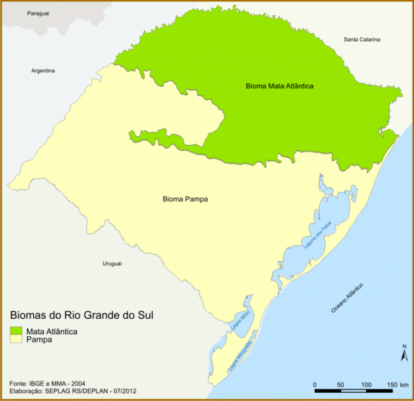 Vegetação do Rio Grande do Sul - Geografia - InfoEscola