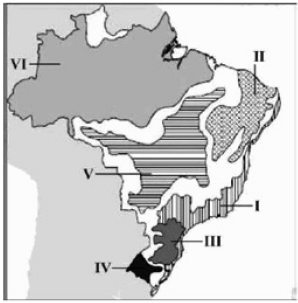 Domínio morfoclimático das pradarias - Geografia - InfoEscola