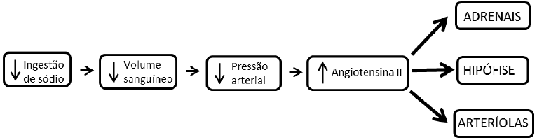 005744 c5 04eb 4667 b2e4 df108cf2212f - Eutrofização no ENEM  aprovatotal.com 2 Eutrofização no ENEM - Studocu