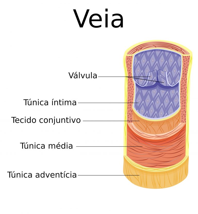 pagbet gusttavo lima