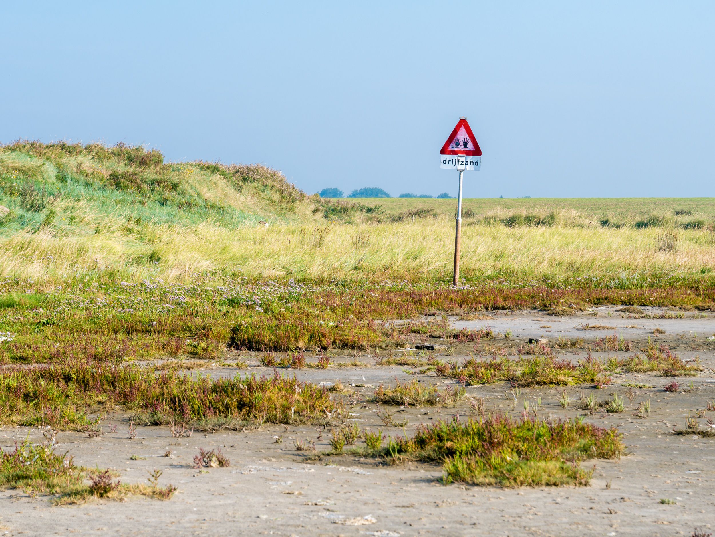 O que é areia movediça? - Quora