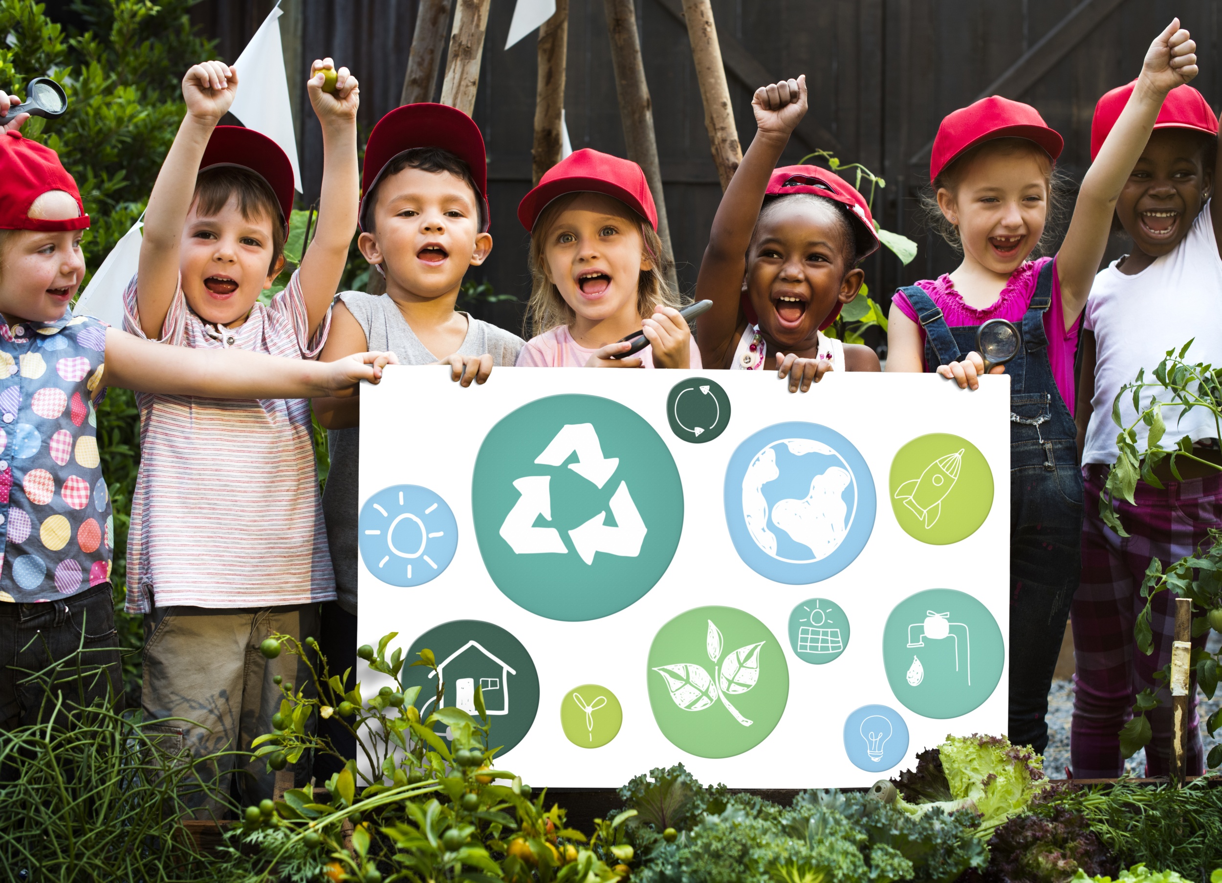 5 Livros Sobre Preservação Do Meio Ambiente Para Ler Com As Crianças Ambiental Sustentável