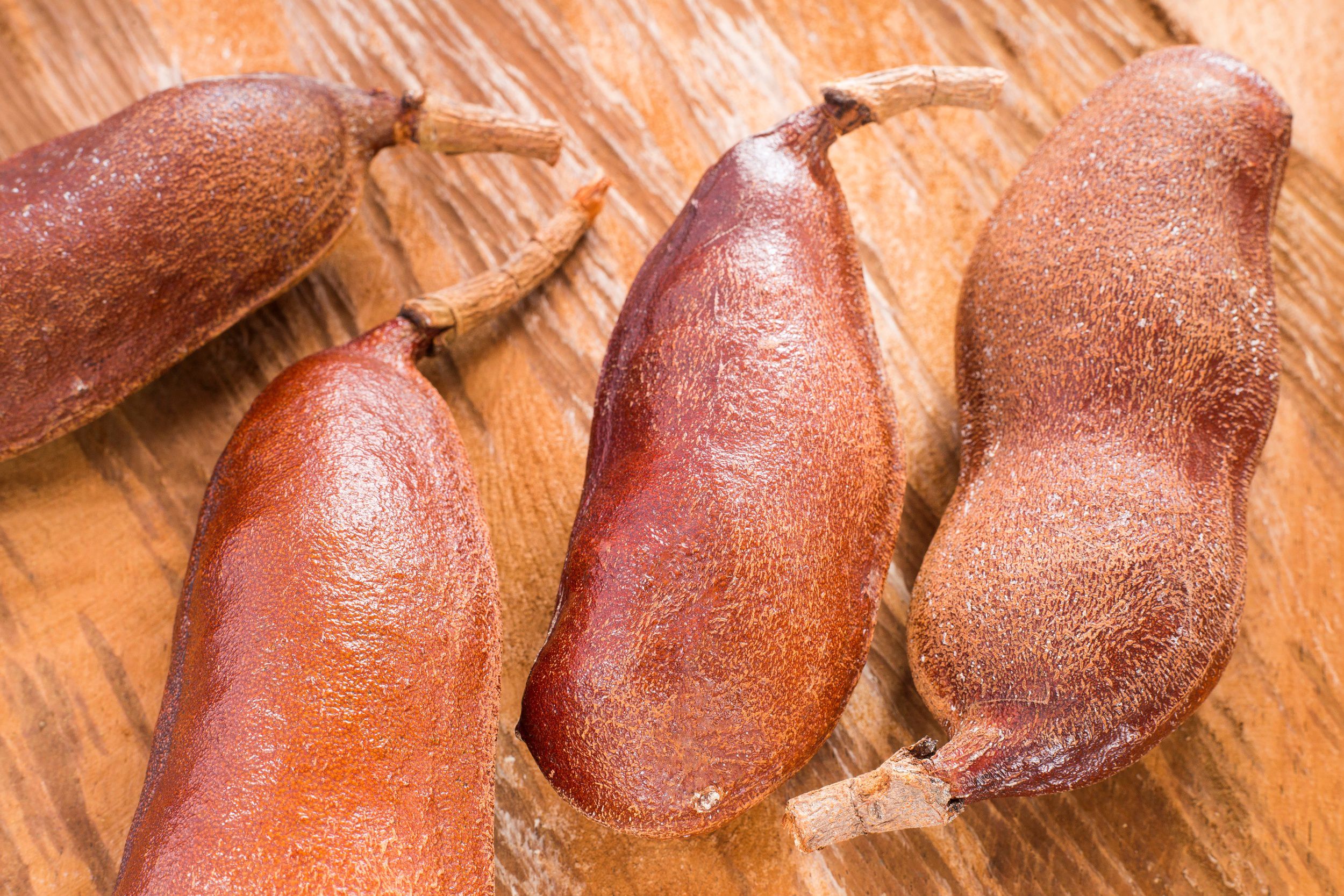 Jatobá características, fotos, aplicações Plantas InfoEscola