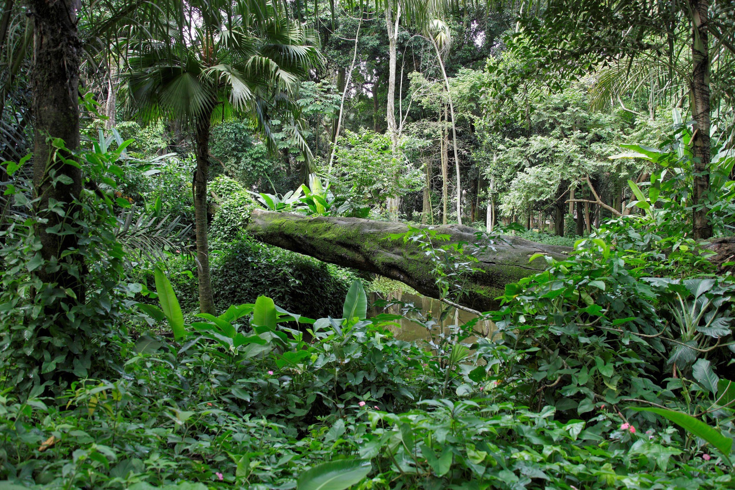 Exemplo de diferentes paisagens aos quais possuímos conceitos de