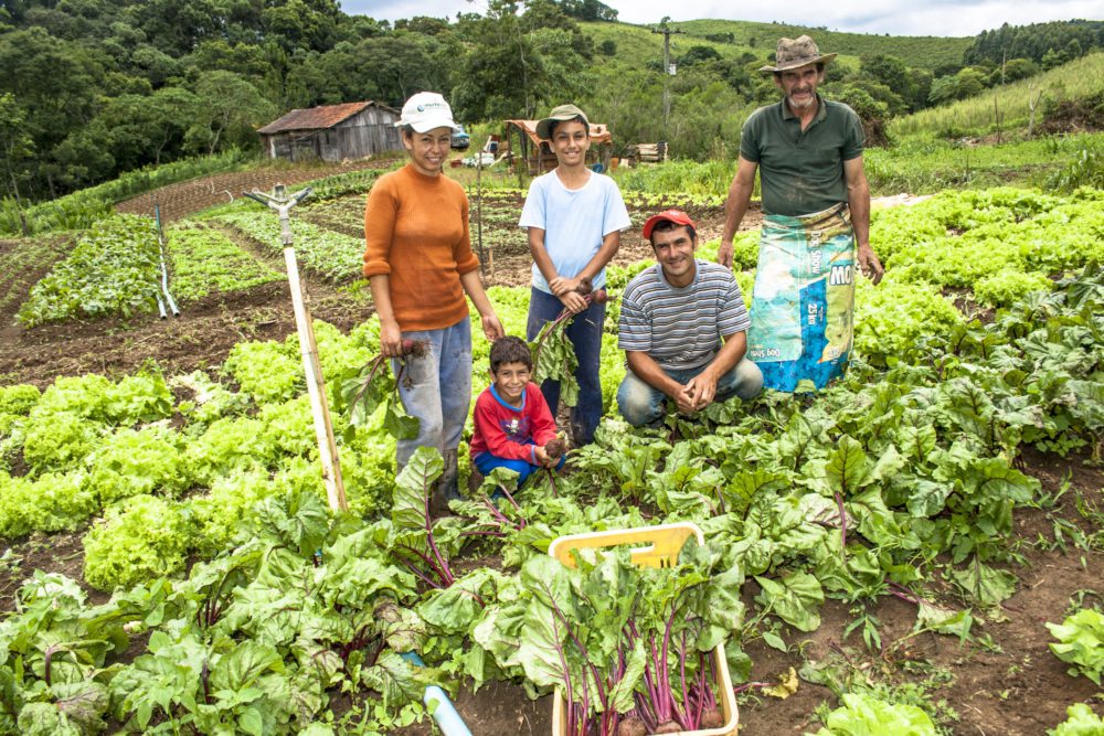 Agricultura familiar - conceito, legislação, importância - Economia - InfoEscola