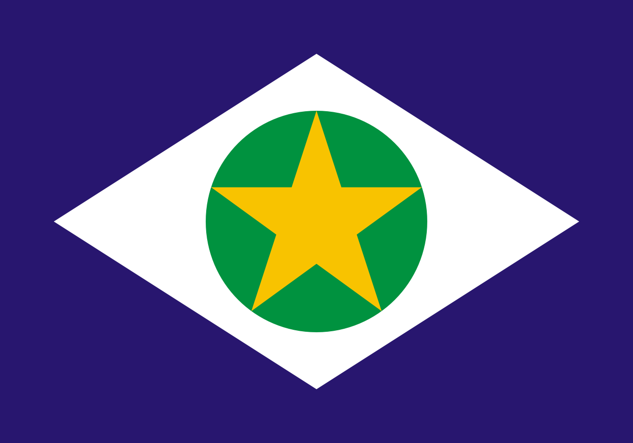Bandeiras dos estados brasileiros 🇧🇷 - Curta e comente quantas você