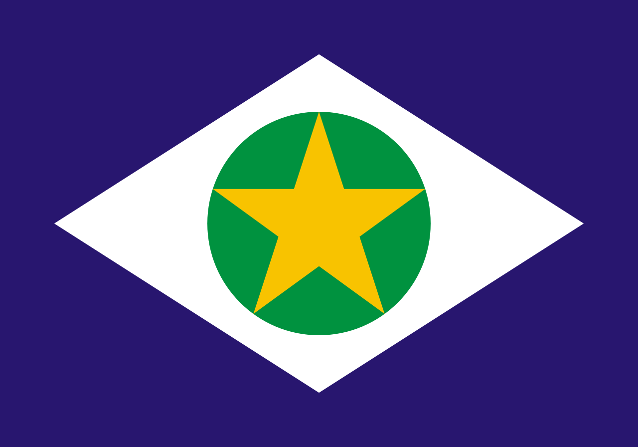 Parte 03 - Esta Bandeira é de qual estado brasileiro? BORA LÁ! (Siga-n