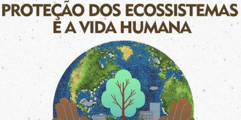 VII Seminário Internacional de Educação Ambiental e Escolas ...